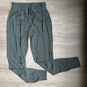 Ecologyst 100% merino joggers NWOT